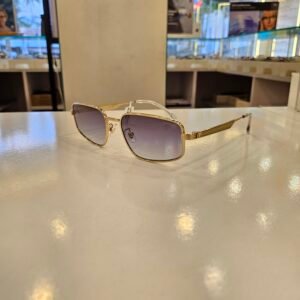 PREMIUM SUNGLASSES 2
